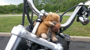 RideForWarriorsBuckminnsDD2