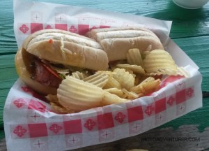 MotoADVR_ZestyItalianSub