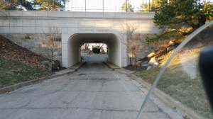 MotoADVR_WoodlandTunnel