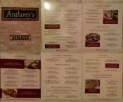 MotoADVR_AnthonysMenu