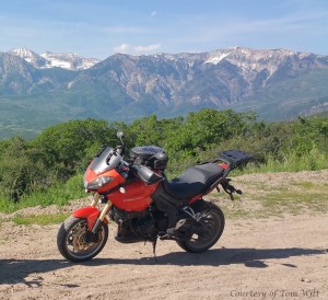 MotoADVR_Tiger1050MountainVista
