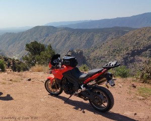 MotoADVR_Tiger1050rear