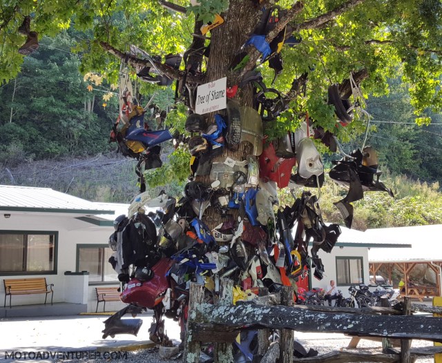 motoadvr_treeofshame16