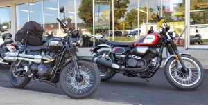 yamaha-scr950-scrambler-motoadvr