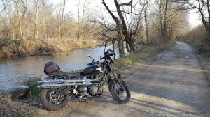 Triumph Scrambler Knobbies MotoADVR