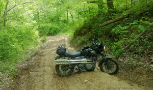 Pumpkin Hollow Rd Triumph Scrambler Stuck MotoADVR