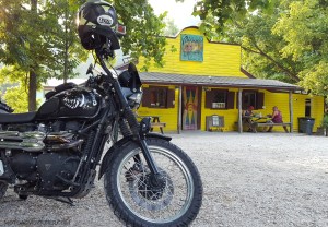 Rose the Scrambler Miguels Pizza MotoADVR
