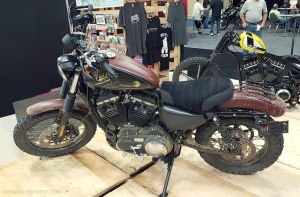 Harley Scrambler Black Dragon MotoADVR