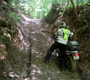 Mountain Springs Road Ruts Tom Witt