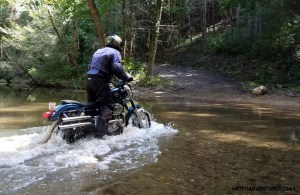 Ripley escorting Tom across a Witt Road creek crossing