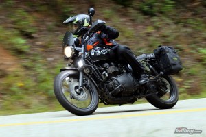 Pannier Rack Tail of the Dragon Triumph Scrambler MotoADVR