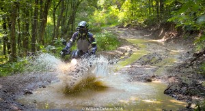 Drew top of Spaas splash center watermark