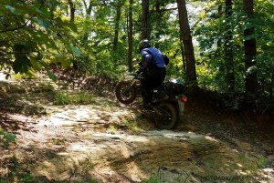 Chop Chestnut Road KLX250SM MotoADVR