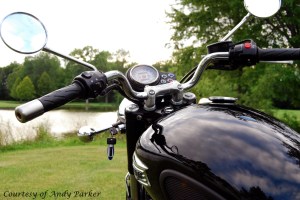 Bonnie Black 7 Andy Parker