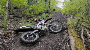 CRF250L Greasy Hill MotoADVR
