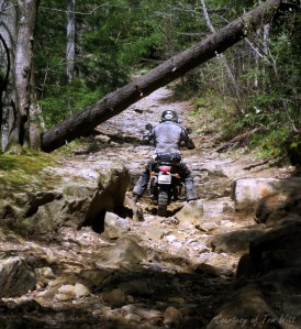 31530731_10157363712904377_521231050584621056_o