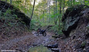 Honda CRF250L Pumpkin Hollow DBBB MotoADVR