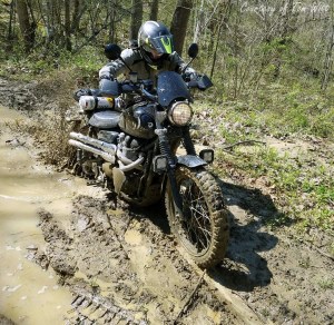 31416723_10157361312039377_6404966247556972544_o