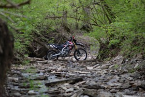 CRF250L Creekrocks MotoADVR