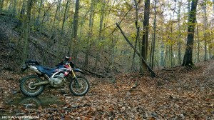 White Sulfur OHV CRF250L MotoADVR